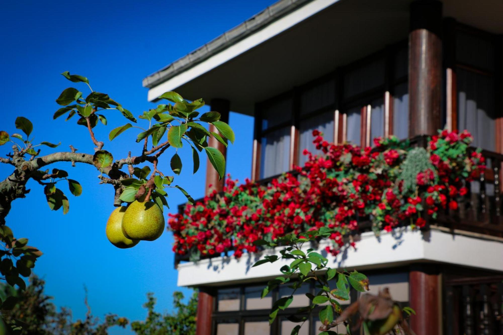 Cosma House Hotel Hinojedo Bagian luar foto